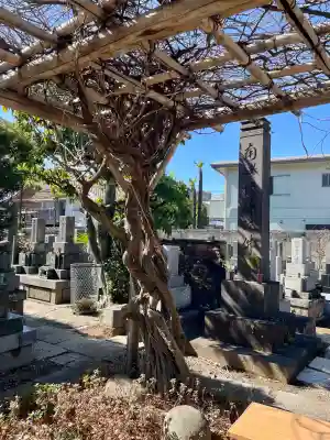 善仁寺(東京都)