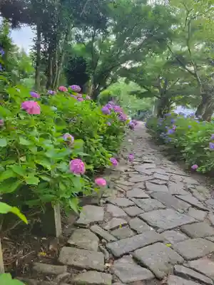 本光寺(愛知県)
