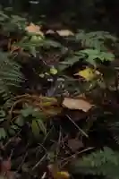 土津神社|こどもと出世の神さまの像