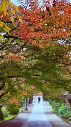 養源院(京都府)