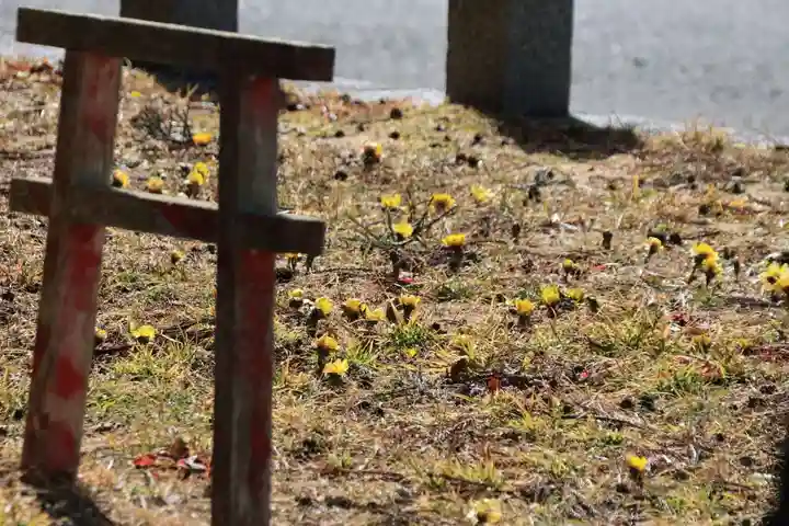 三坂稲荷神社の自然
