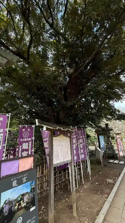龍宮(江島神社)(神奈川県)