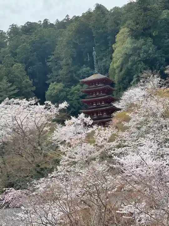 長谷寺(奈良県)
