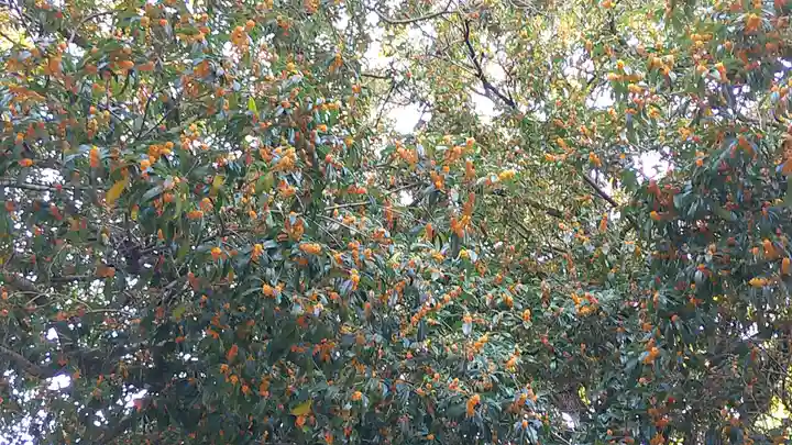 冠稲荷神社(群馬県)