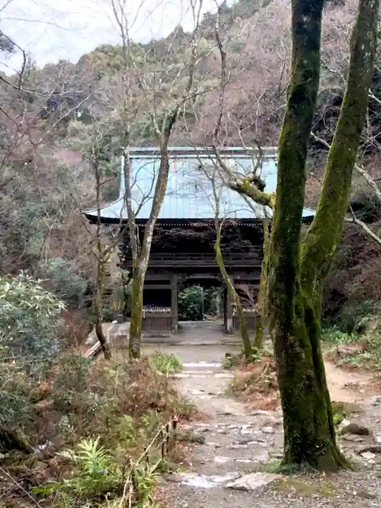 施福寺の山門・神門