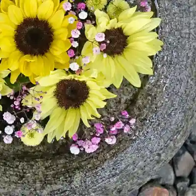 帯廣神社の手水舎