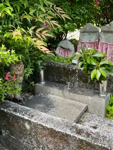 一燈寺(京都府)