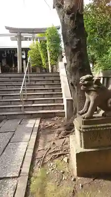 櫻田神社の狛犬