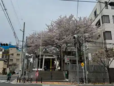 浅草富士浅間神社の{uncategorized: "未分類", other: "その他", undefined: "問題あり", building: "その他建物", grave: "お墓", sacred_gate: "鳥居", guardian: "狛犬", statue: "像", buddha: "仏像", history: "歴史", nature: "自然", garden: "庭園", animal: "動物", pagoda: "塔", temizu: "手水舎", mountain_gate: "山門・神門", sanctuary: "本殿・本堂", subordinate: "末社・摂社", art: "芸術", scenery: "景色", jizo: "地蔵", ema: "絵馬", goshuin: "御朱印", omikuji: "おみくじ", items: "授与品その他", amulet: "お守り", goshuincho: "御朱印帳", eats: "食事", festival: "お祭り", votive_dance: "神楽", shichigosan: "七五三参", wedding: "結婚式", experience: "体験その他", initially: "初詣", around: "周辺", anti_infection: "感染症対策"}