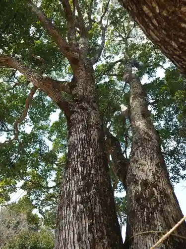 サムハラ神社 奥の宮(岡山県)