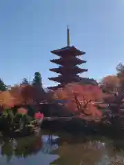 成相寺(京都府)