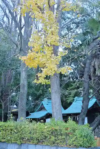 稲毛神社(神奈川県)