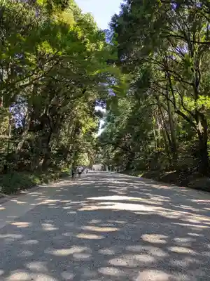 明治神宮(東京都)
