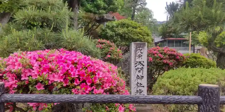 浅間神社(埼玉県)