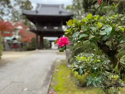 伊勢の国 四天王寺の自然