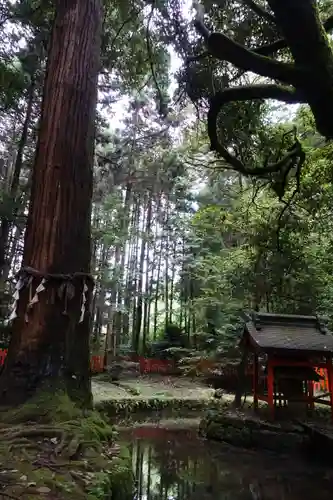 石山寺の自然