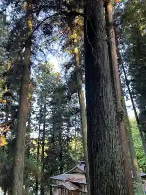 大宮温泉神社(栃木県)