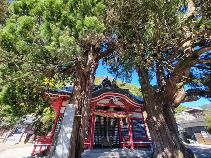 八幡神社(愛媛県)