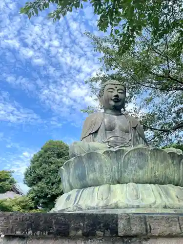 護国寺(東京都)