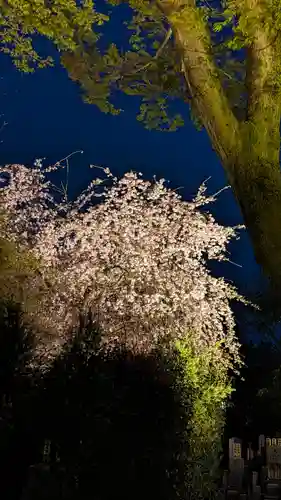 高台寺（高台寿聖禅寺・高臺寺）(京都府)