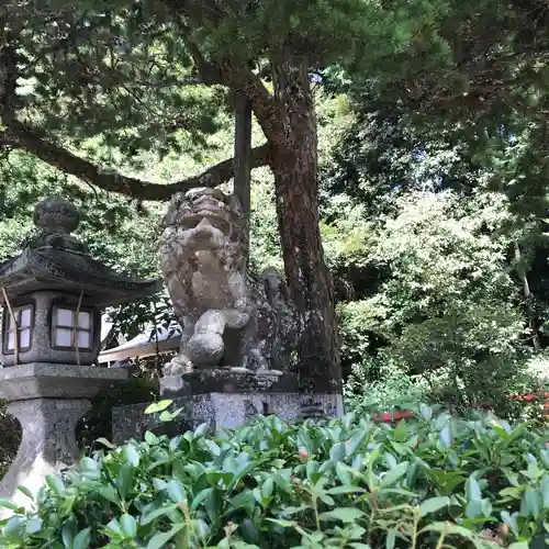 鷺森神社の狛犬