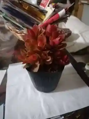 北斗寺のその他建物