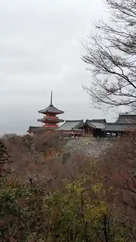 清水寺の景色