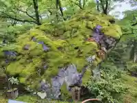 宝厳院(京都府)