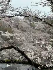 榛名神社(東京都)