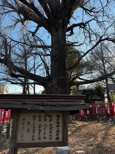 鬼子母神堂　(法明寺）(東京都)