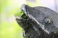 神炊館神社 ⁂奥州須賀川総鎮守⁂の手水舎