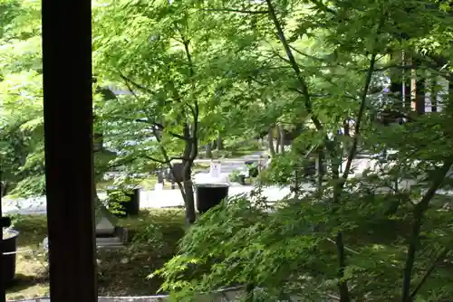 勝林寺(京都府)