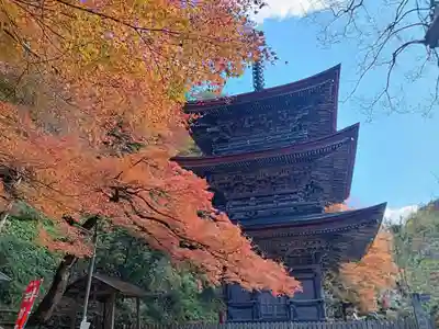 金剛院(京都府)