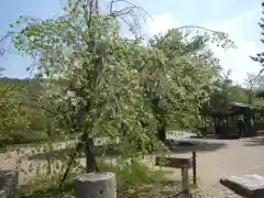 八坂神社(祇園さん)の建物その他