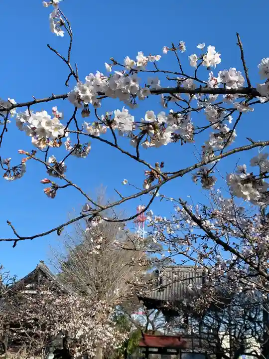 慈恩寺(埼玉県)