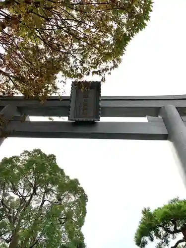 杉杜白髭神社の鳥居