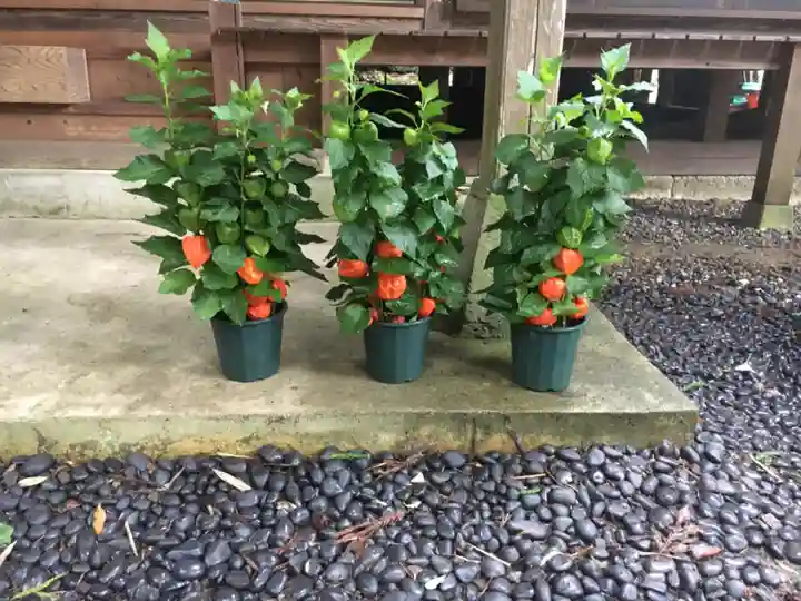 愛宕神社のその他建物