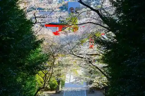 大崎八幡宮の建物その他