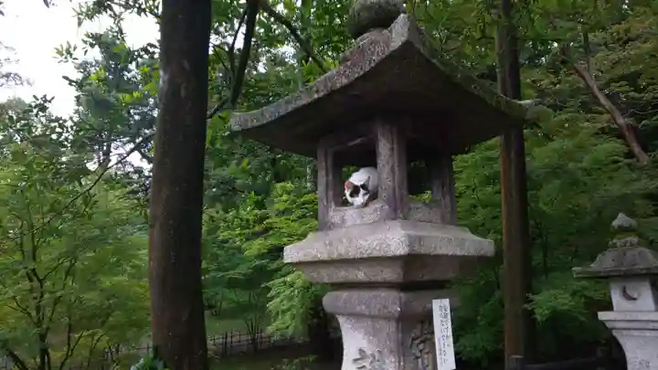 伏見稲荷大社(京都府)