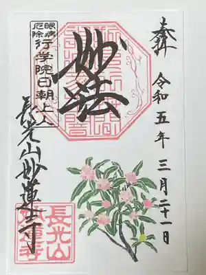 沈丁花