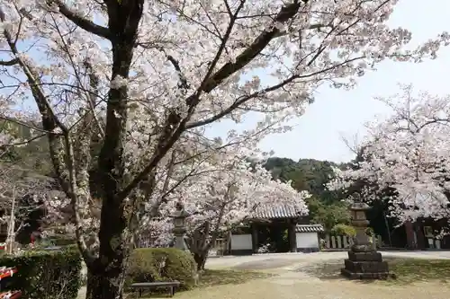 海住山寺の自然