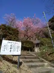 宝楽寺の建物その他