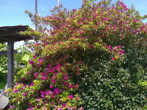 円通山 蓮乘軒(観音堂)(神奈川県)