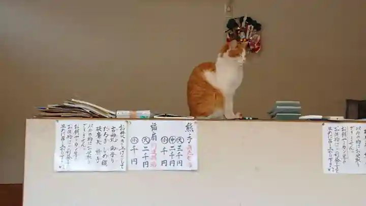 蠶養國神社の動物