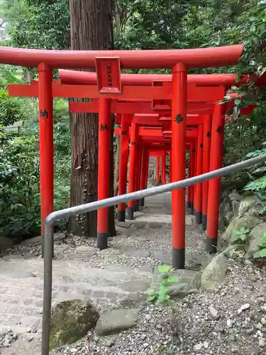 白笹稲荷神社の鳥居