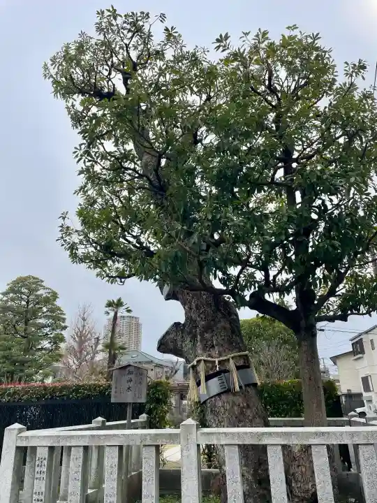 安国院の{uncategorized: "未分類", other: "その他", undefined: "問題あり", building: "その他建物", grave: "お墓", sacred_gate: "鳥居", guardian: "狛犬", statue: "像", buddha: "仏像", history: "歴史", nature: "自然", garden: "庭園", animal: "動物", pagoda: "塔", temizu: "手水舎", mountain_gate: "山門・神門", sanctuary: "本殿・本堂", subordinate: "末社・摂社", art: "芸術", scenery: "景色", jizo: "地蔵", ema: "絵馬", goshuin: "御朱印", omikuji: "おみくじ", items: "授与品その他", amulet: "お守り", goshuincho: "御朱印帳", eats: "食事", festival: "お祭り", votive_dance: "神楽", shichigosan: "七五三参", wedding: "結婚式", experience: "体験その他", initially: "初詣", around: "周辺", anti_infection: "感染症対策"}