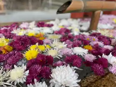 鶴岡八幡宮の手水舎