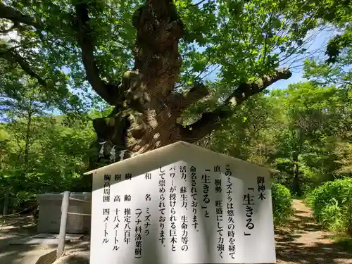 那須温泉神社(栃木県)