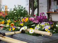 上目黒氷川神社の手水