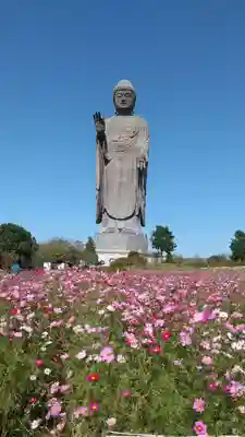 東本願寺本廟 牛久浄苑（牛久大仏）の仏像